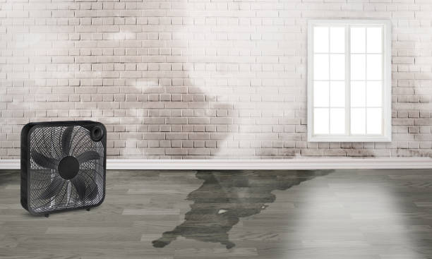 Best Residential water damage restoration  in Castle Shannon, PA