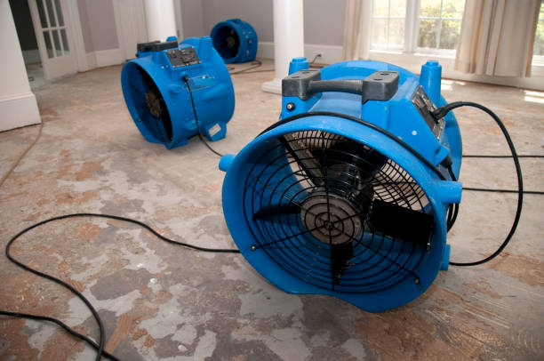 Trusted Castle Shannon, PA Water damage restoration Experts