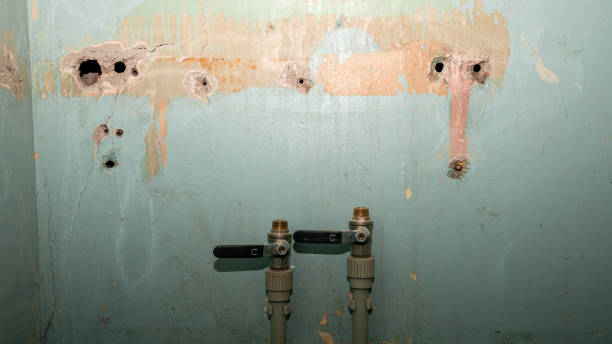 Best Basement water damage restoration  in Castle Shannon, PA