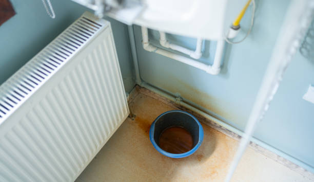 Best Flood damage cleanup  in Castle Shannon, PA