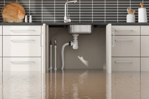 Best Water damage restoration near me  in Castle Shannon, PA