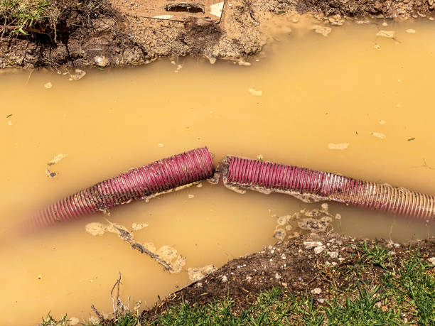 Best Water damage restoration services  in Castle Shannon, PA