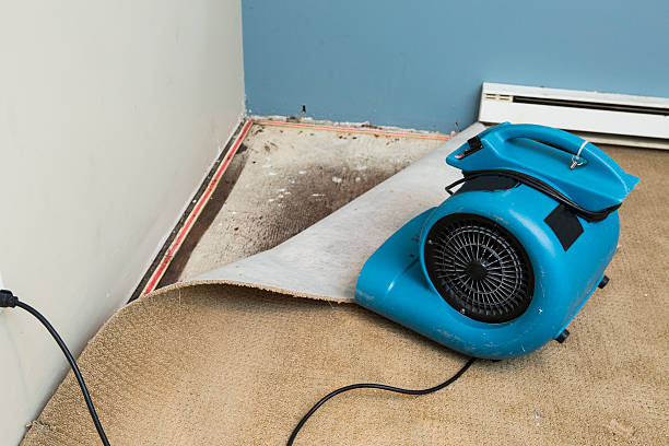 Reliable Castle Shannon, PA Water damage restoration Solutions